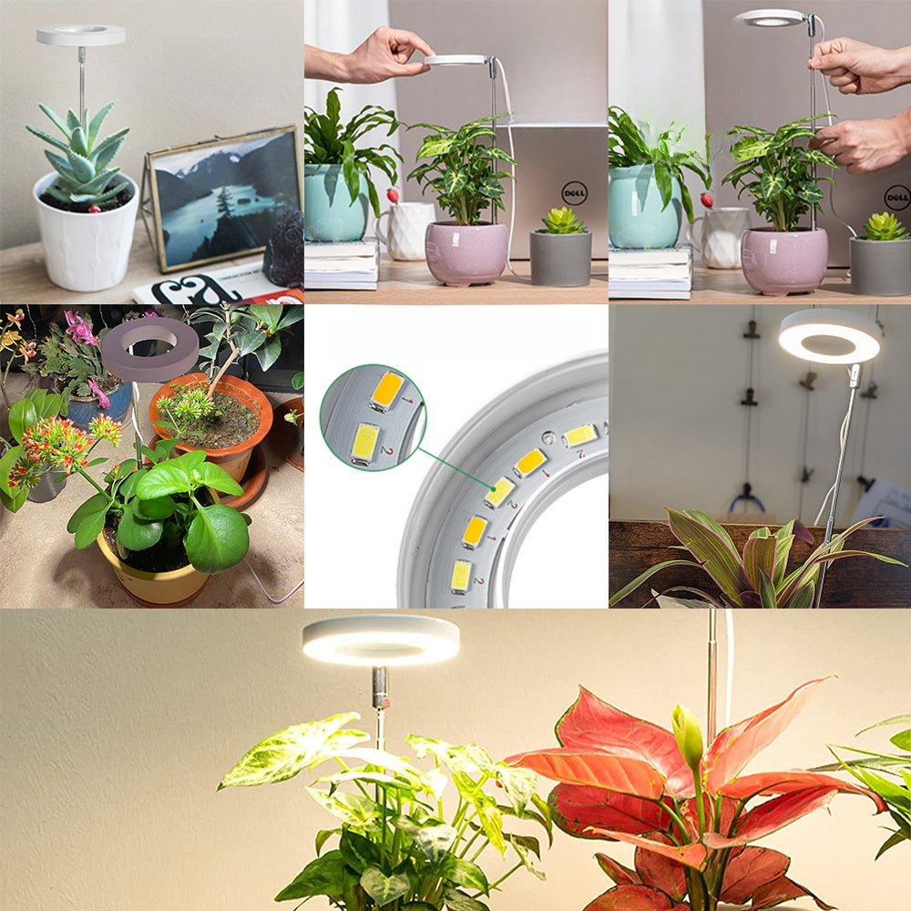 Adjustable Full Spectrum LED Plant Growth Light with Timer